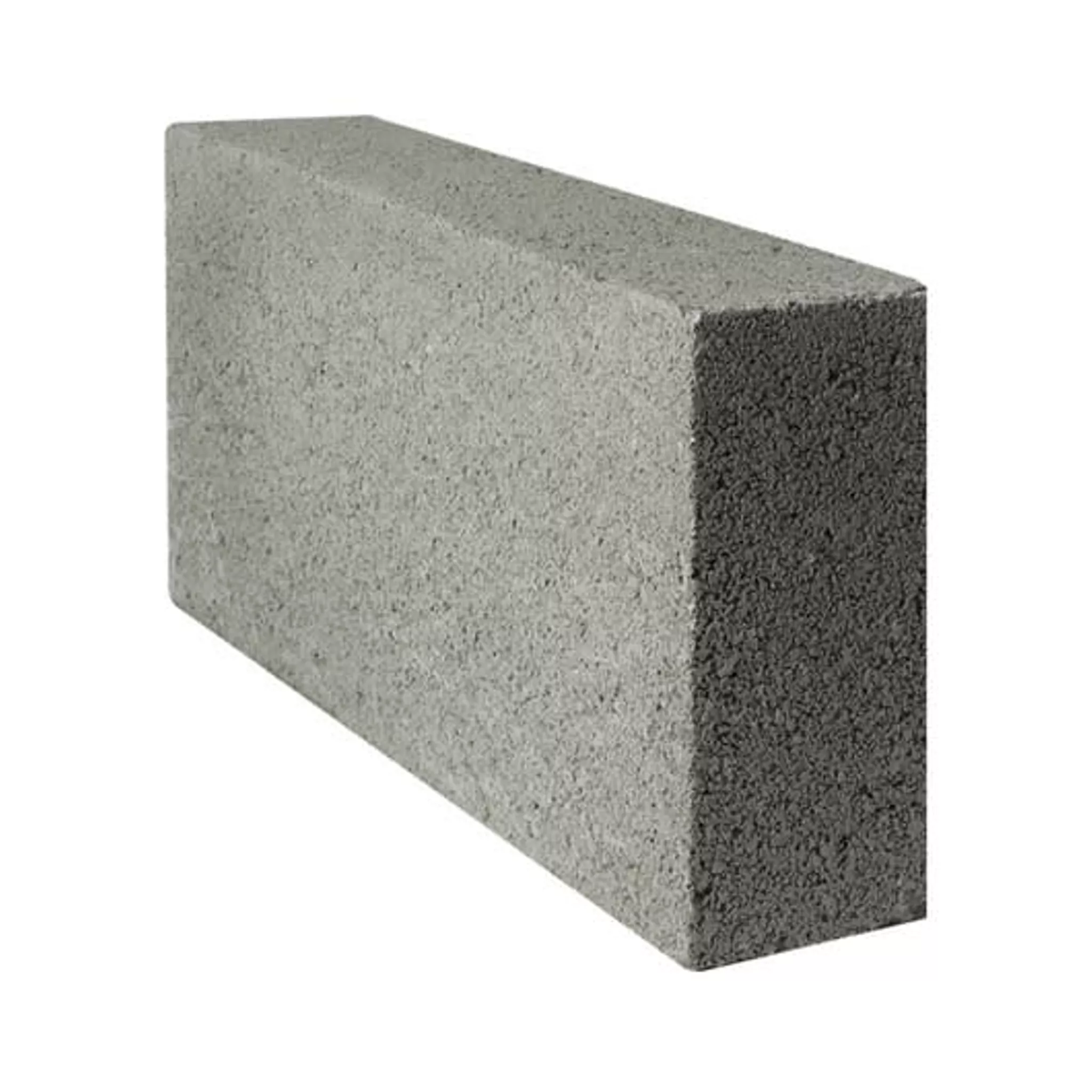100mm Solid Dense 7.3N Blocks