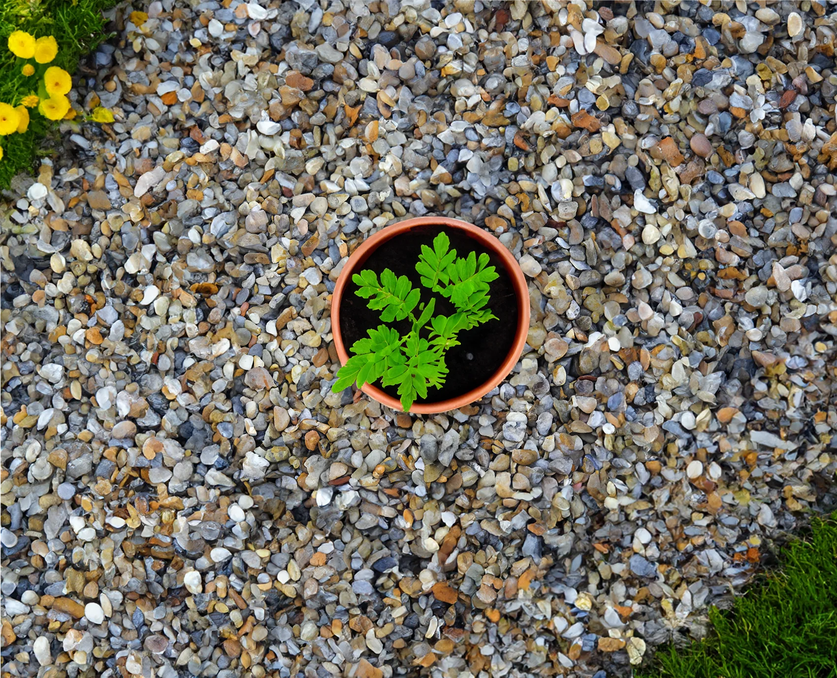 20mm Moonstone Flint Gravel Chippings - Image 4