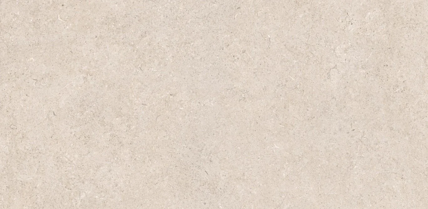 Light Grey Porcelain Paving600x1200x20mm (Essence Grey) - Image 4