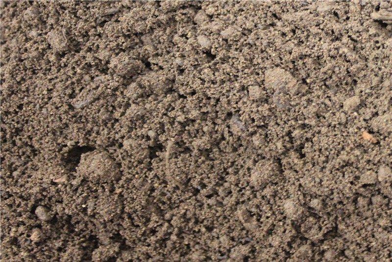 High Grade Multi-Purpose Garden Topsoil - Image 4