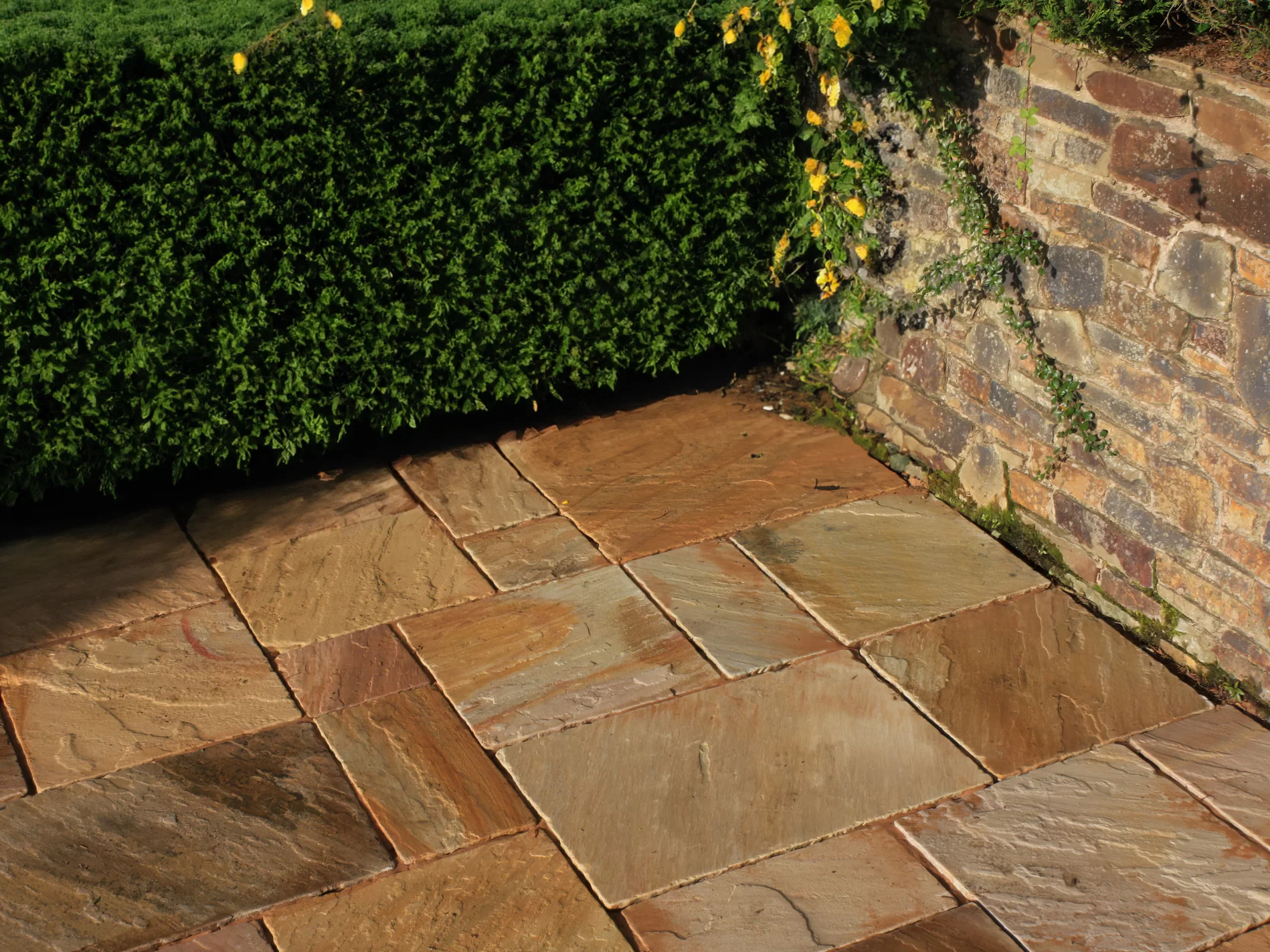 Beige Sandstone Paving Project Pack* / Multiple Sizes 22mm (Natural Buff) - Image 3